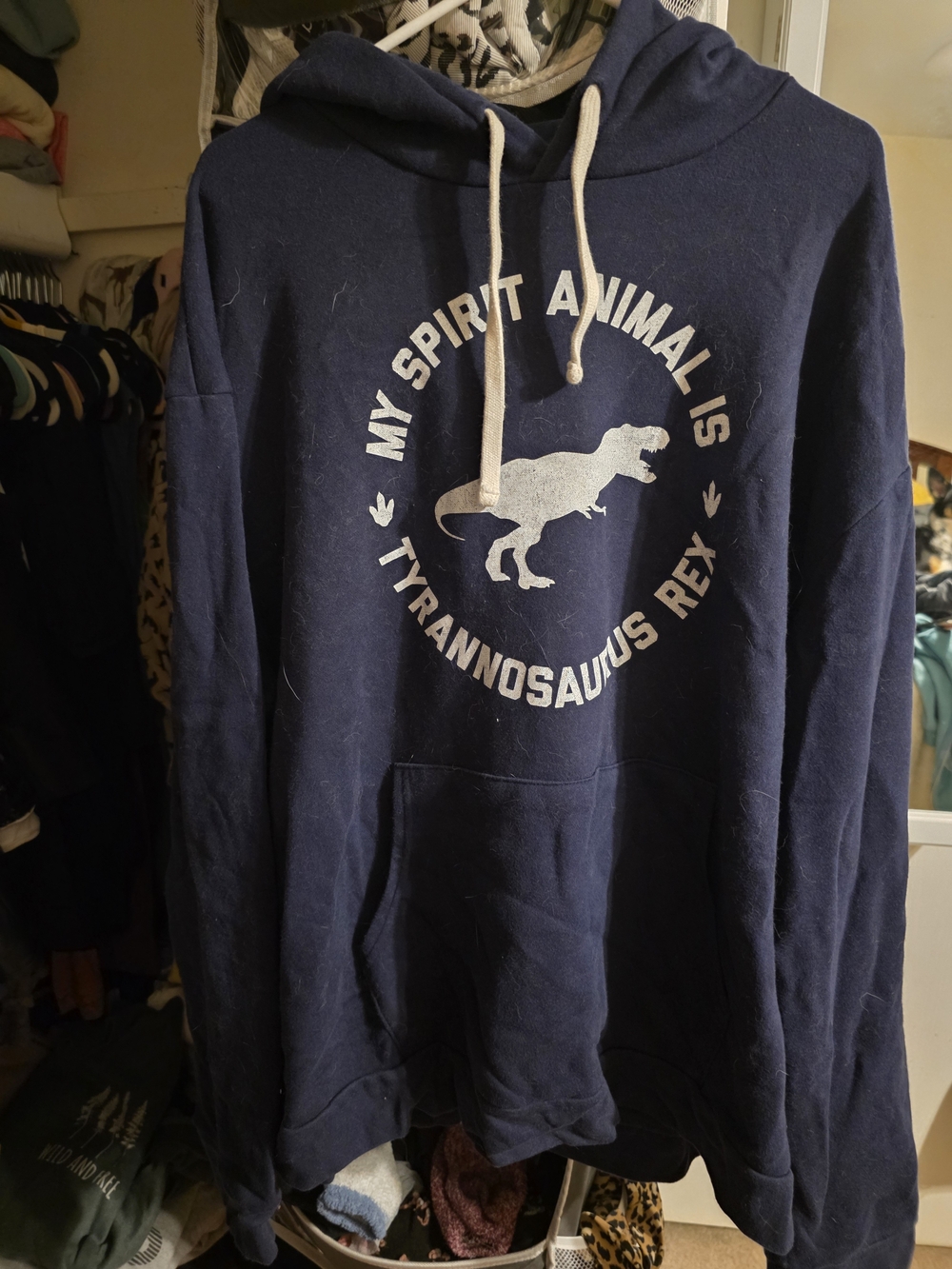 Navy Hoodie with Tyrannosaurus Rex Graphic